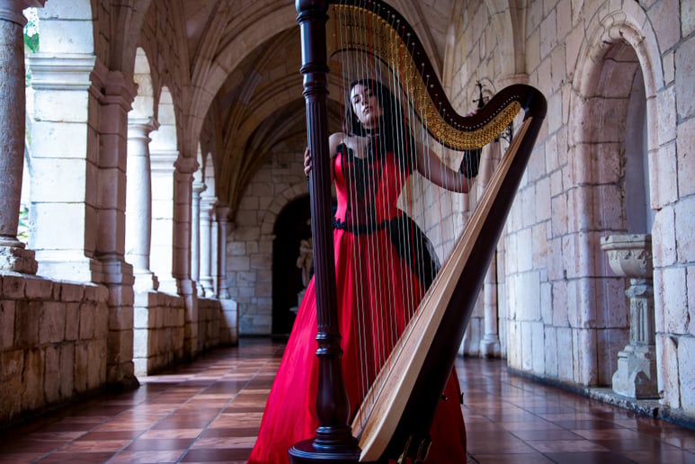 Gallery photo 4 of Gabriela Harpist