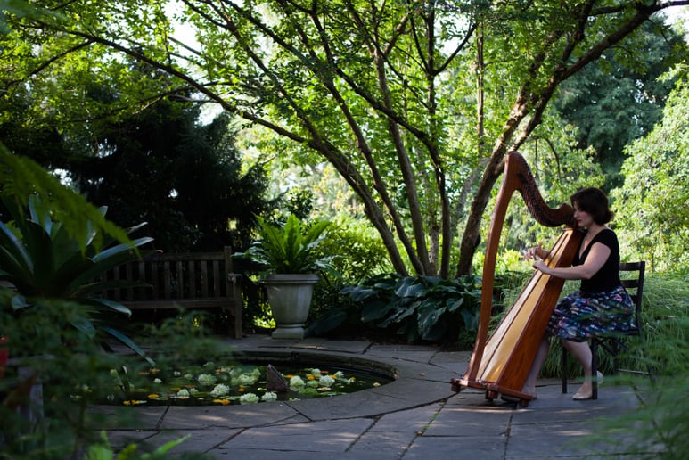 Gallery photo 9 of The Illuminated Harpist