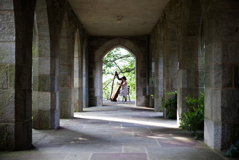 Gallery photo 5 of The Illuminated Harpist