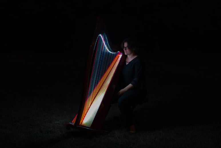 Gallery photo 8 of The Illuminated Harpist