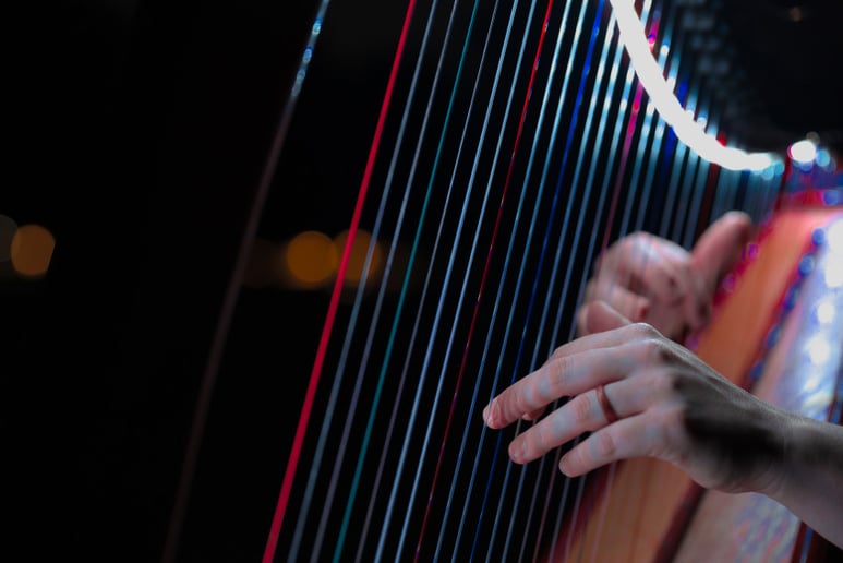 Gallery photo 3 of The Illuminated Harpist