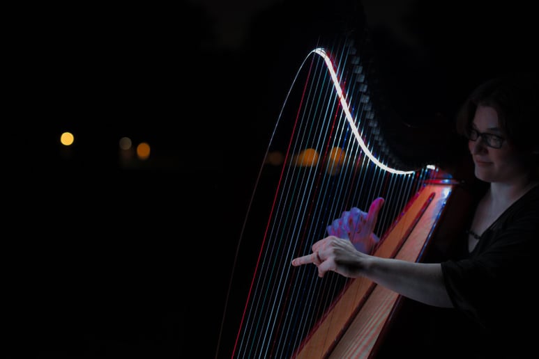 Gallery photo 6 of The Illuminated Harpist
