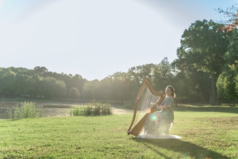 Gallery photo 4 of The Illuminated Harpist