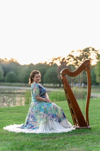 Gallery photo 7 of The Illuminated Harpist