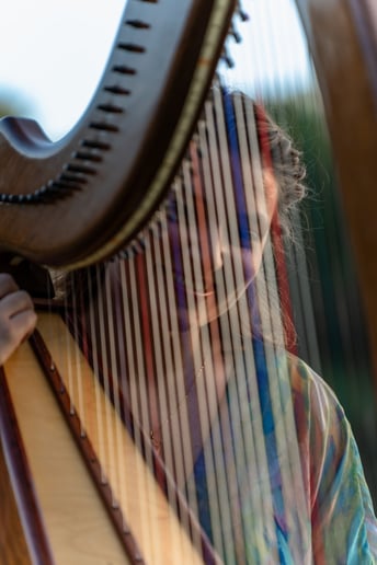 Gallery photo 1 of The Illuminated Harpist