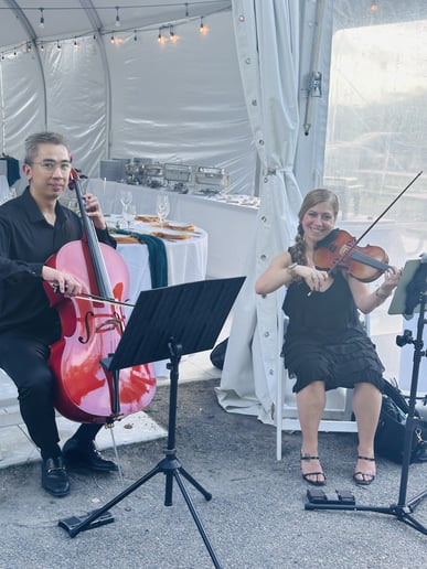 Gallery photo 1 of Gabrielle Parente, Violinist & Violist.