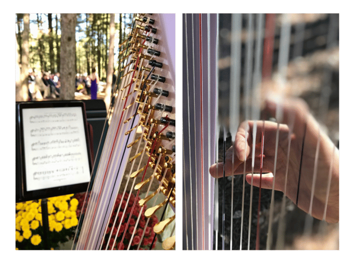 Gallery photo 6 of Gabriel's Horns Live Wedding Musicians