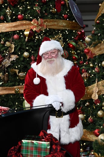 Gallery photo 6 of Gadsden Santa Rob