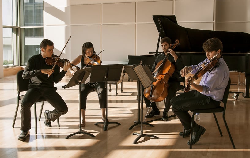 Gallery photo 2 of Galatea Chamber Music