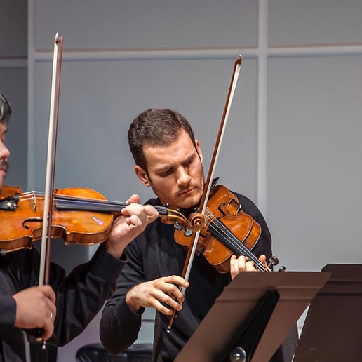 Gallery photo 7 of Galatea Chamber Music