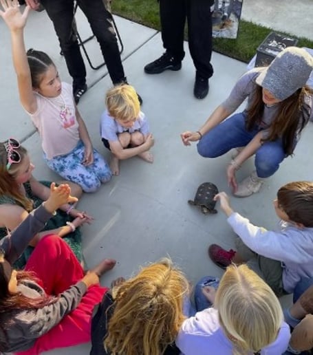 Gallery photo 3 of Reptile Show for Kids Parties