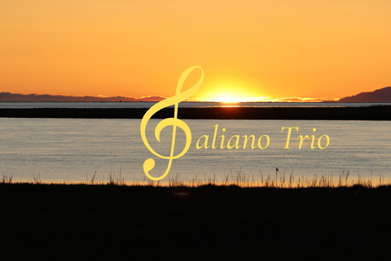 Gallery photo 3 of Galiano Trio