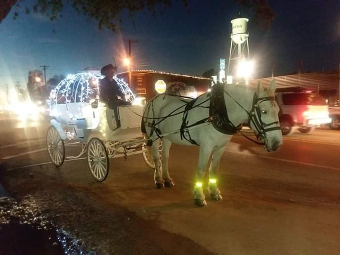Gallery photo 2 of Galveston Carriage Tours
