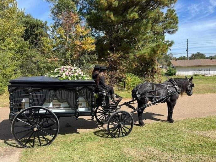 Gallery photo 5 of Galveston Carriage Tours