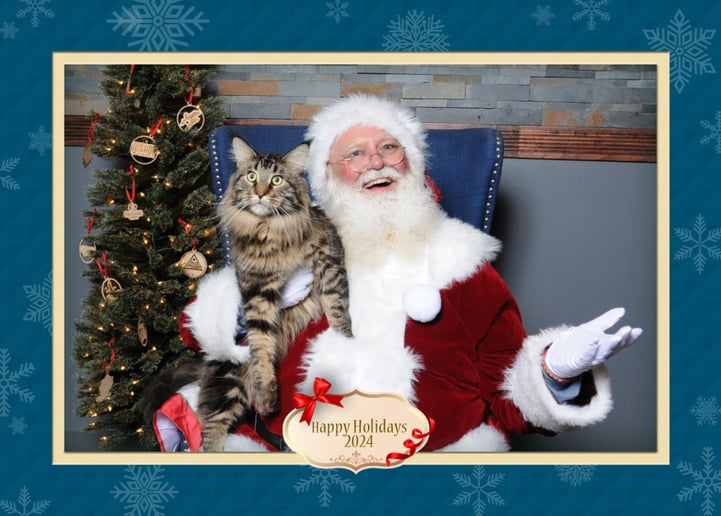 Gallery photo 5 of Galvston Santa