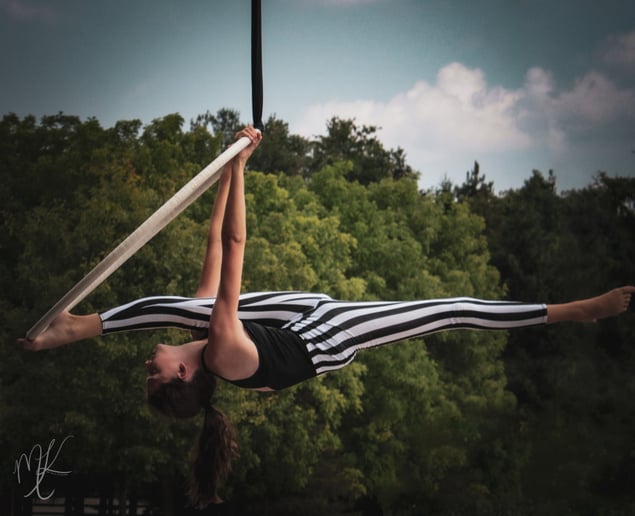 Gallery photo 4 of Gemini Circus