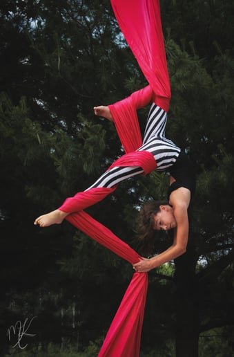 Gallery photo 5 of Gemini Circus