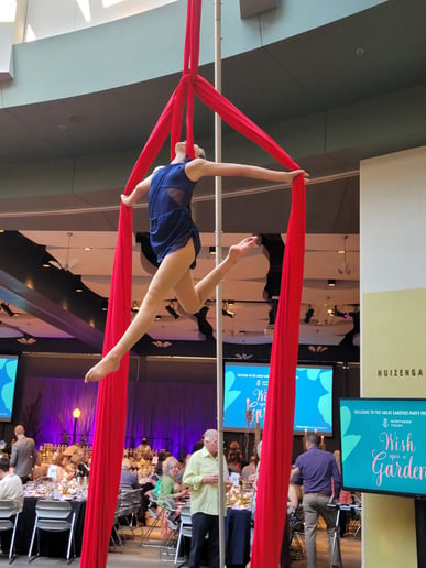 Gallery photo 6 of Gemini Circus