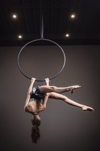 Gallery photo 8 of Gemini Circus