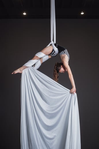 Gallery photo 9 of Gemini Circus