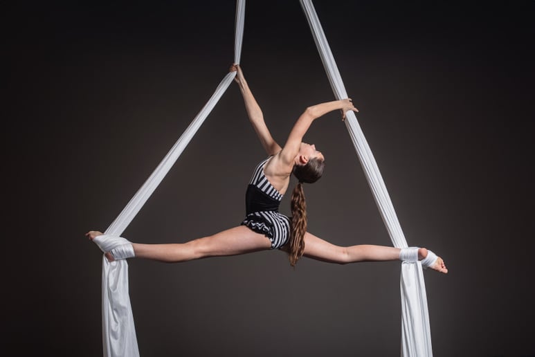 Gallery photo 10 of Gemini Circus