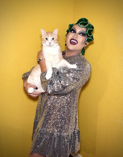 Gallery photo 4 of Gila Moonstar