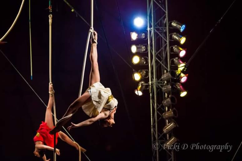 Gallery photo 6 of Gillian DiAddezio