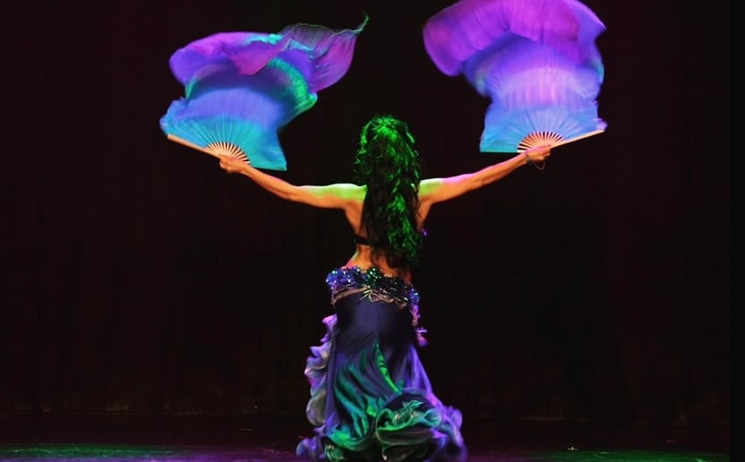 Gallery photo 9 of Gina Belly dancer