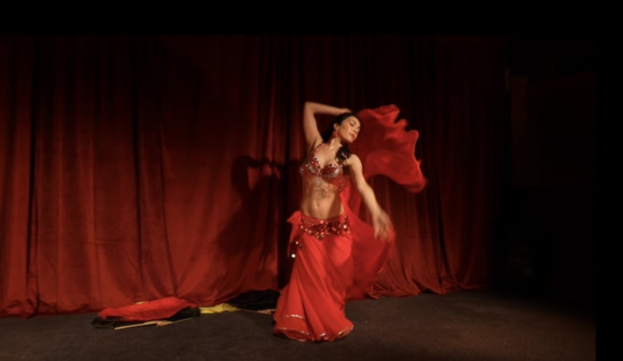 Gallery photo 6 of Gina Belly dancer