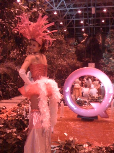 Gallery photo 3 of Gina DeFreitas