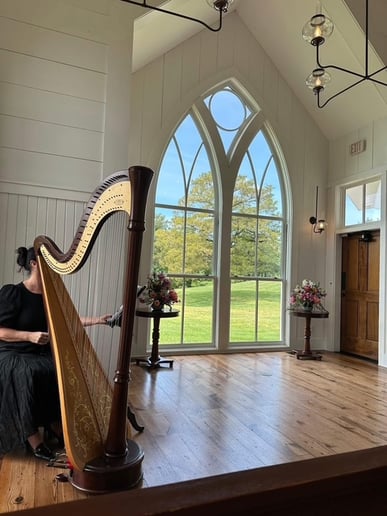 Gallery photo 10 of Harpist/Pianist Gina Edwards