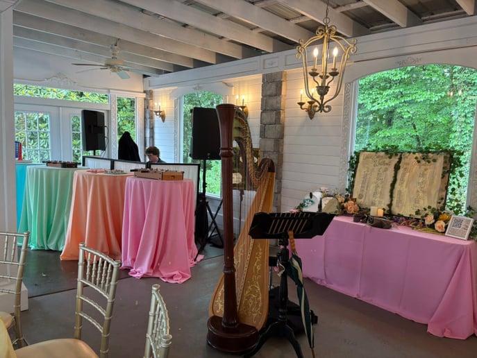 Gallery photo 5 of Harpist/Pianist Gina Edwards