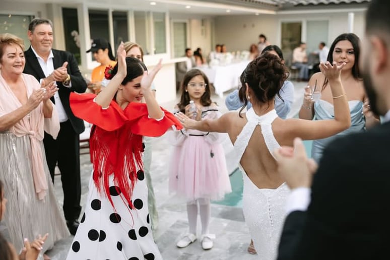 Gallery photo 1 of Giselle Flamenco Show