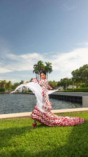 Gallery photo 7 of Giselle Flamenco Show