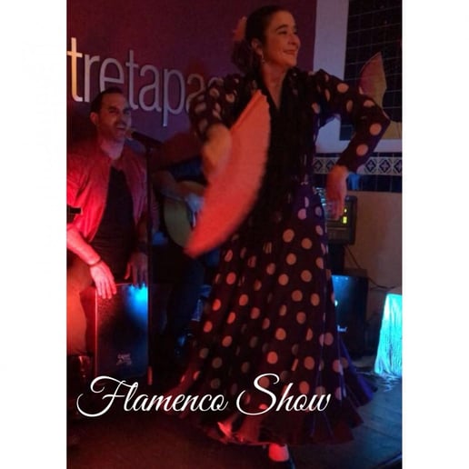 Gallery photo 6 of Gitano Urbano - Authentic Flamenco Show