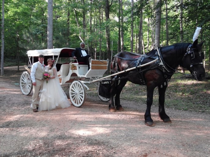 Gallery photo 3 of Glass Slipper Carriage Tours