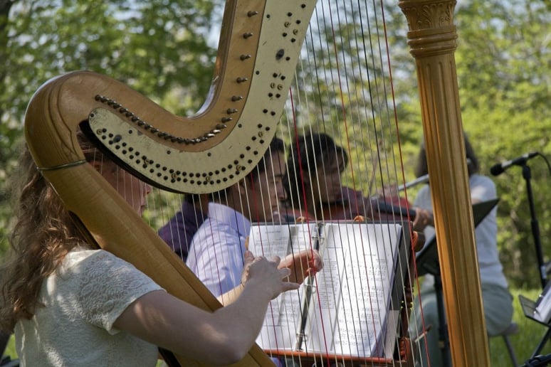 Gallery photo 2 of Glesni Mason - Harpist