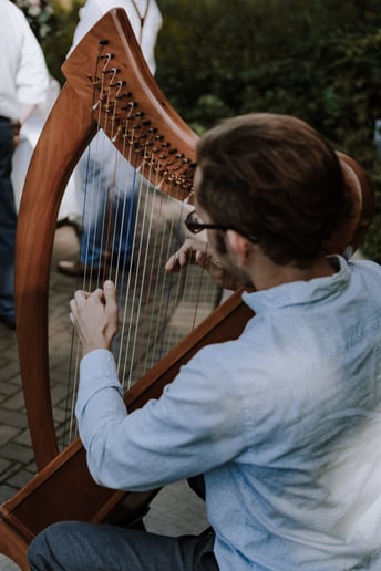 Gallery photo 1 of Glewwe Harp