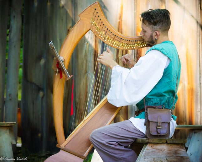 Gallery photo 2 of Glewwe Harp