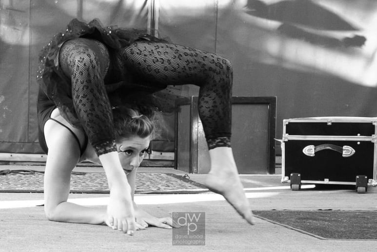 Gallery photo 1 of Denver Circus Entertainment