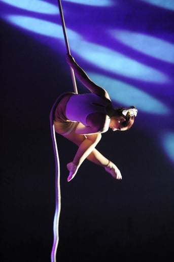 Gallery photo 2 of Denver Circus Entertainment