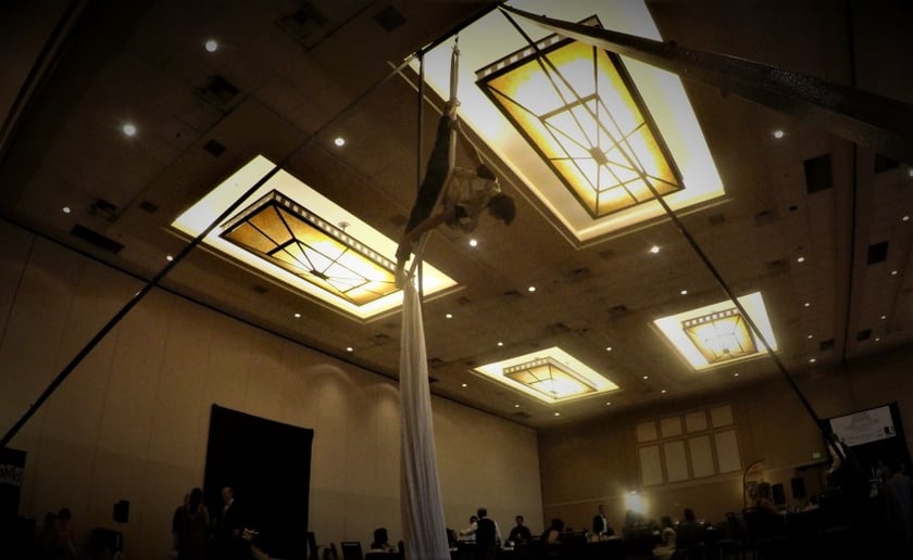 Gallery photo 5 of Denver Circus Entertainment