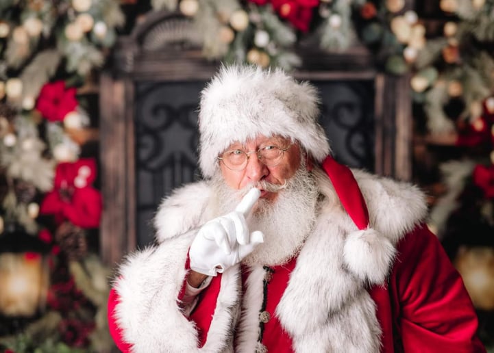 Gallery photo 4 of Gloucester Santa Ron