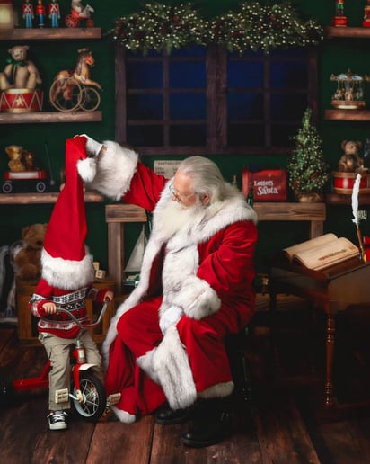 Gallery photo 11 of Gloucester Santa Ron
