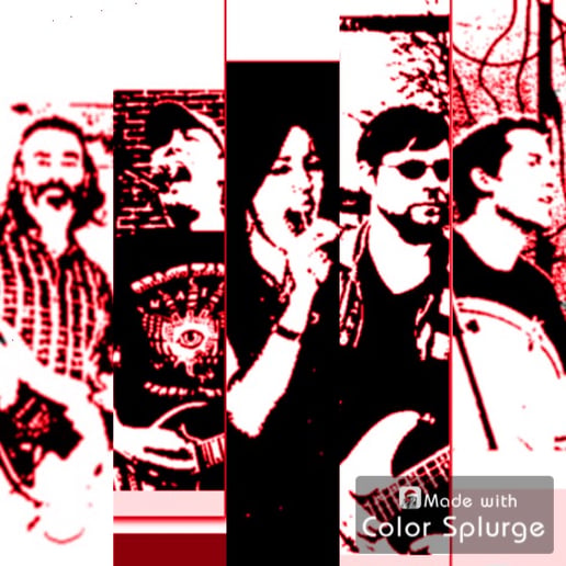 Gallery photo 1 of Go Commando Band
