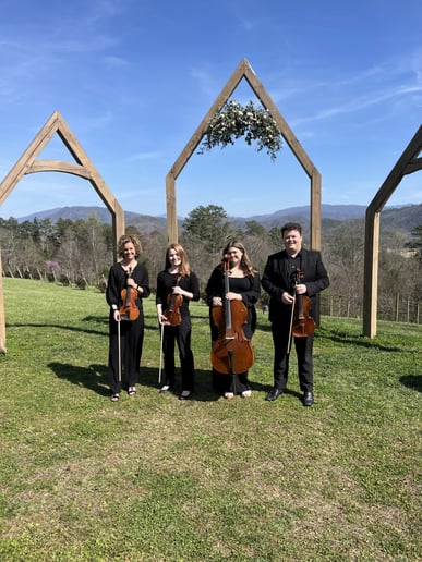 Gallery photo 4 of Anna Strings