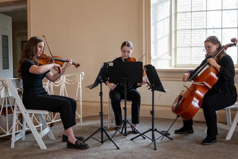 Gallery photo 9 of Golden Hour Strings