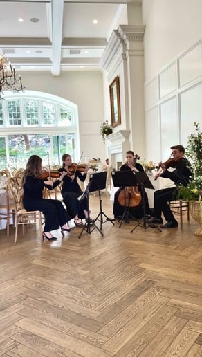 Gallery photo 3 of Golden Hour Strings