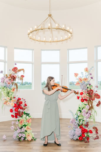 Gallery photo 4 of Golden Hour Strings