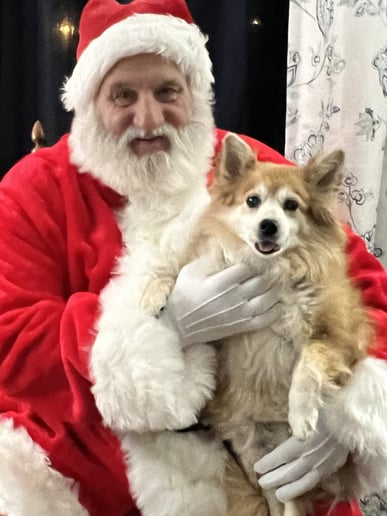 Gallery photo 3 of Santa Dave